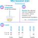 Buy Easy Home Ovulation Test - 25 Miu/ml Sensitive Fertility Test for Women | 10 LH Test Strips & Free Premom App - Buy Online on GoSupps.com