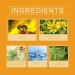 2024 Bee Venom Treatment Cream | Repair Cream for All Skin Types - 2.12 Fl Oz | International Shipping Available - Buy Online on GoSupps.com