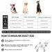 Dog Drying Coat Microfibre Dog Towel Bathrobe Dressing Gown with Adjustable Collar and Waist Super Moisture Absorbent Fast Drying Robe Soft Pet Towel for Medium Large Dogs (Medium) - Buy Online on GoSupps.com