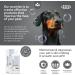 ICF Zincoseb Dog Shampoo 250ml - Anti-Itch, Antifungal, Antibacterial - Sensitive Skin Relief for Dogs & Cats - Buy Online on GoSupps.com