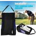 Zerone Portable Golf Shoes Bag - Breathable Dust-Proof Organizer with Pocket, Black and Blue - Ideal for Storing Sports Accessories - Unisex - Buy Online on GoSupps.com