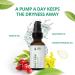 Natural Facial Oil Blend with Rosehip & Vitamin E | Vegan Anti-Wrinkle Serum | 100% Natural Skincare | 30ml Daily Dew Elixir - Buy Online on GoSupps.com