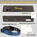 Vicmag Men Magnetic Bracelet: Titanium Steel Double Row 3500 Gauss Wristband (Blue) - Adjustable with Gift Box - Buy Online on GoSupps.com