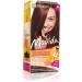 Garnier Movida Hair Color N 23 Chestnut - Pack of 2 - Buy Online on GoSupps.com