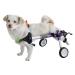 HeoBam Dog Wheelchair - for Small Dog Adjustable Dog Wheelchair for Hind Legs Rehabilitation Pet Rehabilitation Cart Handicap Wheels for Dogs Convenient Dog Wheelchair(XS(B))