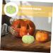 HOLIDYOYO 3pcs Pumpkin Decoration Autumn Rustic Pumpkin Desk Topper Figurines for Outdoors Fake Pumpkin Thanksgiving Day Pumpkin Ornament Decorative Pumpkin Ceramics Window Gift Greenx3pcs 13X13CMx3pcs - Buy Online on GoSupps.com