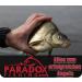 Paradox Fishing Floats Set | 5 Pieces (1.5g-5g) | Glow Stick Fishing Floats for Enhanced Night Fishing - Buy Online on GoSupps.com