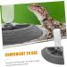 BELLIFFY Turtle Drinker Auto Feeder Reptile Food Bowl Automatic Reptile Feeder Automatic Waterer Pet Plastic 17.00X17.00X3.50CM Grey - Buy Online on GoSupps.com