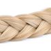 Gledola 2 Strands Fishtail Plaited Braids Headband Braided Synthetic Hair Elastic Stretch Hair Accessory for Bride Women Teens Girls Wedding (Honey Blonde) - Buy Online on GoSupps.com