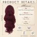 BARSDAR 16 Burgundy Ponytail Extension | Long Wavy Curly Drawstring Hairpiece for Women | Synthetic Clip-In Hair | Ideal for Daily Use, Party, Halloween - Pack of 1 - Buy Online on GoSupps.com