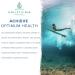 Organic Blue Spirulina Powder by Holistic Bin - Vegan Protein Source for Smoothies & Baked Goods (50g) - Buy Online on GoSupps.com