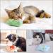 Dorakitten Catnip Toys for Indoor Cats - 5PCS Plush Chew Toys for Teething and Interactive Play | Catnip Filled Kitten Toy with Soft Material and Animal Shapes - Buy Online on GoSupps.com