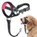 Dog head necklace no pulling the head halter with soft upholstery durable Labrador including training instructions medium / black