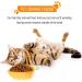 ULTECHNOVO Ceramic Carrot Food Bowl for Small Animals - Hamster Feeding Bowl - Buy Online on GoSupps.com