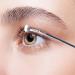 Angled Eyelash Brush 120 Degree Angled Eyelash Definer Fan Brush - Eyeliner Detail Brush Makeup Brush Lash Wand Brush Fan for Natural Lifted Effects and Enhance Lower Lashes R-b - Buy Online on GoSupps.com