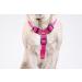 CHABA Medium Dog Harness - Anti-Pull Adjustable & Comfortable Step-In Design for Running - Classic Control Harness in Fuchsia & Pink - Buy Online on GoSupps.com