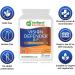 Vision Defender BP Eye Supplement - Bilberry & Pine Bark Extracts - 60 Vegan Capsules - Buy Online on GoSupps.com