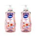 Dial Liq Handsoap A/B Pink 7.5 Oz pack of 2 - Buy Online on GoSupps.com