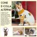 DENTRUN Cat Surgery Recovery Suit | Post Surgery Cone E-Collar Alternative | Anti Licking Pajama Suit for Cats | Spay Kitten Onesie | X-Large Yellow - Buy Online on GoSupps.com