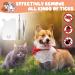 Tick Remover Tools for Dogs 5 pcs Tick Remover Card with Magnifying Lens Stainless Steel Tick Tweezers and Tick Hook Set for Dogs Cats Humans Horses and Other Pets - Buy Online on GoSupps.com