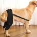 WOBBLO Recovery for Dogs | Knee Brace for Rear Leg Pet Leg Wounds Protector Hip Joint Support Protects Wounds for Small Dogs - Buy Online on GoSupps.com