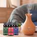 Christmas Premium Grade Fragrance Oils Set Oils Set for Home Diffuser Christmas Set of 6 Premium Fragrance Oils Caramel Corn Candy Cane Ginger Bread Cinnamon Pine Tree Cranberry-10ML Essential Oil*6pcs - Buy Online on GoSupps.com