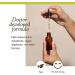 Bach Wild Rose Flower Remedy 20mL Dropper - Natural Holistic Stress Relief | Vegan Formula - Buy Online on GoSupps.com