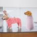 Ranypet One-Divider Dog Pajamas - Surgical Recovery Suit for Large Medium Dogs | Anti-Lick Wound Protection | 2XL Pink - Buy Online on GoSupps.com