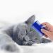 5-Piece Cobee Fine Tooth Dog Flea Lice Comb & Tear Stain Remover for Grooming - Buy Online on GoSupps.com
