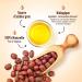 JOJOBA Organic Oil 150 ml - Cosmos Organic - Plan te au Naturel - Pure Natural and Cold Pressed - Hair Body Skin - Buy Online on GoSupps.com