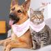 Buy Triangle Dog Hookers with Butterfly Pattern - Triangular Scarves for Small Medium & Large Dogs and Cats (2 Pieces) - Buy Online on GoSupps.com
