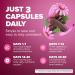Rosabella Elderberry Zinc & Vitamin D3 Capsules Elderberry Supplement with Echinacea Vitamin C & Zinc Immune Support Supplement for Daily Wellness Vegan Capsules 90 Count (Pack of 1) - Buy Online on GoSupps.com