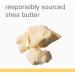 Burt's Bees Baby Healing Ointment 7.5 oz - Natural Moisturizing Skin Care with Shea Butter - Buy Online on GoSupps.com