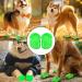 YAWMLYE 2 Pairs Puppy Dog Clogs Sandals with Anti-Slip Sole - Green | Pet Festival Gifts - Buy Online on GoSupps.com