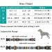 Heele Bohemian Cyan Dog Collar for Small & Medium Dogs - Adjustable Comfortable & Durable | Perfect for Puppies (34-53cm) - Buy Online on GoSupps.com