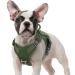 Rabbitgoo dog harness Small dogs anti -train crockery dog adjustable with handles widened robust and wear -resistant tactical dog dishes with metal buckles for hiking (S green) S (1 Pack) green