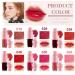 6PCS Shake It Lip Tint Stain Set | Multi-Use Lip Gloss Eyes and Cheek Tint | Non-Sticky Long-Lasting Liquid Lipstick & Blush - Buy Online on GoSupps.com