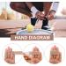 Welnove Hammer Toe Bandage - Support & Relief for Hammer Toe Pain | International Shipping Available - Buy Online on GoSupps.com