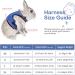 Adjustable Soft Rabbit Dishes & Elastic Leash for Small Pets - Kitty & Bunny Walking Set (Blue XS - 20-27.5cm) - Buy Online on GoSupps.com