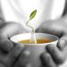 Tea Forte Green Tea Assortment - 10 Pyramids | Premium International Shipping - Buy Online on GoSupps.com