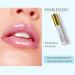 Talkyo Lip Plumper Gloss 5ml - Enhance, Plump, and Care for Fuller Lips | Long-Lasting Gold Lipstick Tint - One Size - Buy Online on GoSupps.com