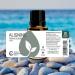 Rocky Mountain Oils Aligning Essential Oil Blend 15ml - 100% Pure & Natural Fractionated Coconut Oil Base - Perfect for Mind & Body Harmony - Buy Online on GoSupps.com