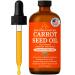 Pomberries Carrot Seed Oil | 100% Pure Cold-Pressed & Unrefined Unscented Carrot Oil for Hair Skin & Face Moisturizing Body & Carrier Oil Helps Improve the Look of Fine Lines & Wrinkles | 4 fl oz