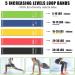 23Pcs Resistance Bands Set with Handles, Loop Bands, Jump Rope, Figure 8 Band - Workout Essential Kit - Buy Online on GoSupps.com