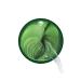 Reduce the eye mask Dark Eye Seaweed and circle the Golden Under Bags Personal Skin Care on 20 ml A RIS024 1 piece (1 Pack) green