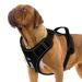 Etaccu dog harness without train and chokes with handle adjustable no-pull dishes breastware safety harness Reflectioning softly padded breathable medium dog black M