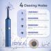 BlueFire Teeth Cleaning Kit for Daily Cleaning Waterproof Teeth Cleaning Tools with 6 Brush Heads 4 Speed Modes and LED Lights Teeth Cleaning Brush for People/Pets(Blue) - Buy Online on GoSupps.com
