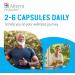 Alterra Cellular Nutrition - Marine DNA Supplement Inflammatory Disease Support |Protects cellular membrane & reduces Joint pain| Source of antioxidants |Astaxanthin & Borealis |60 Vegetable Capsules - Buy Online on GoSupps.com