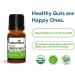 Wellements Organic Probiotic Drops for Baby Digestive & Immune Support | 0.25 Fl Oz 141188 | Dye-Free, Paraben-Free, Preservative-Free | Infants & Toddlers - Buy Online on GoSupps.com