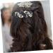 FRCOLOR Styling Hair Clips hairpin jewels for women headwear for women bow clips barrettes claw clips for thick ponytail clips for clips for thick aesthetic Ponytail Clip - Buy Online on GoSupps.com